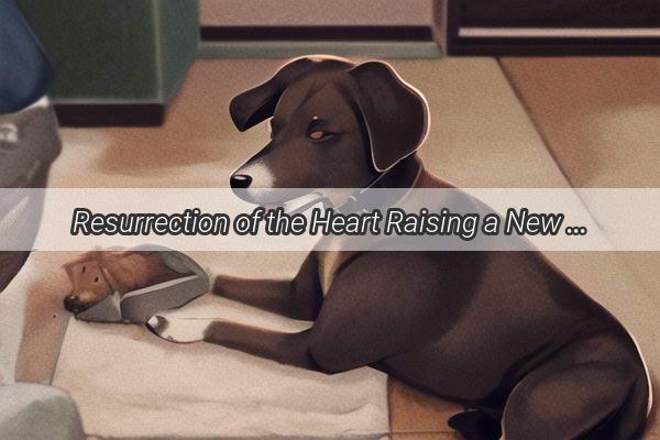 Resurrection of the Heart Raising a New Pup Just Months After Losing Our Beloved Canine Companion